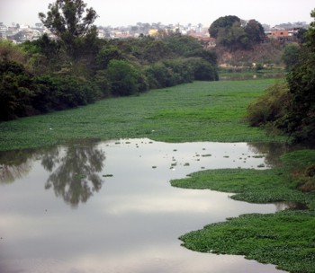 rio aguaps